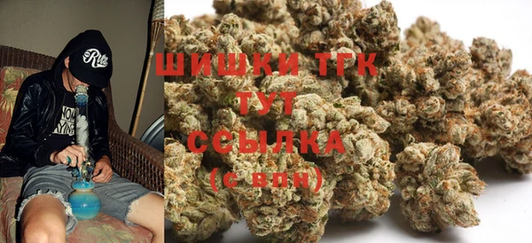 ешки Медногорск