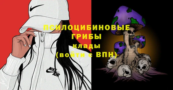 ешки Медногорск