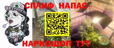 прущие крисы Гатчина