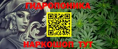 шишки Гагарин