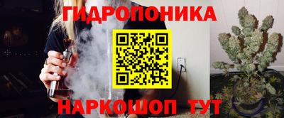 шишки Гагарин
