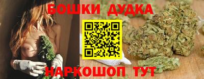 прущие крисы Гатчина