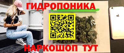 шишки Гагарин