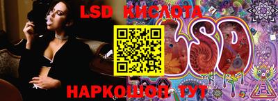 прущие крисы Гатчина