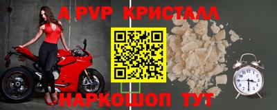 шишки Гагарин