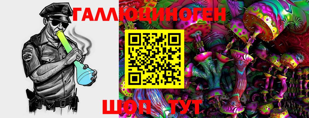 Псилоцибиновые грибы Psilocybe Дербент