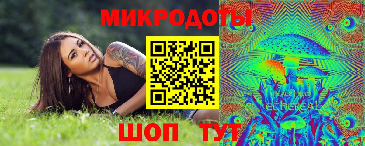 Псилоцибиновые грибы Cubensis  Дербент 